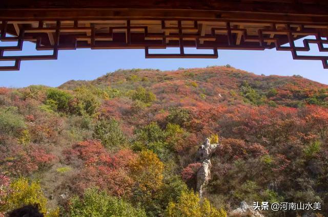 河南看红叶最好的地方在哪里？