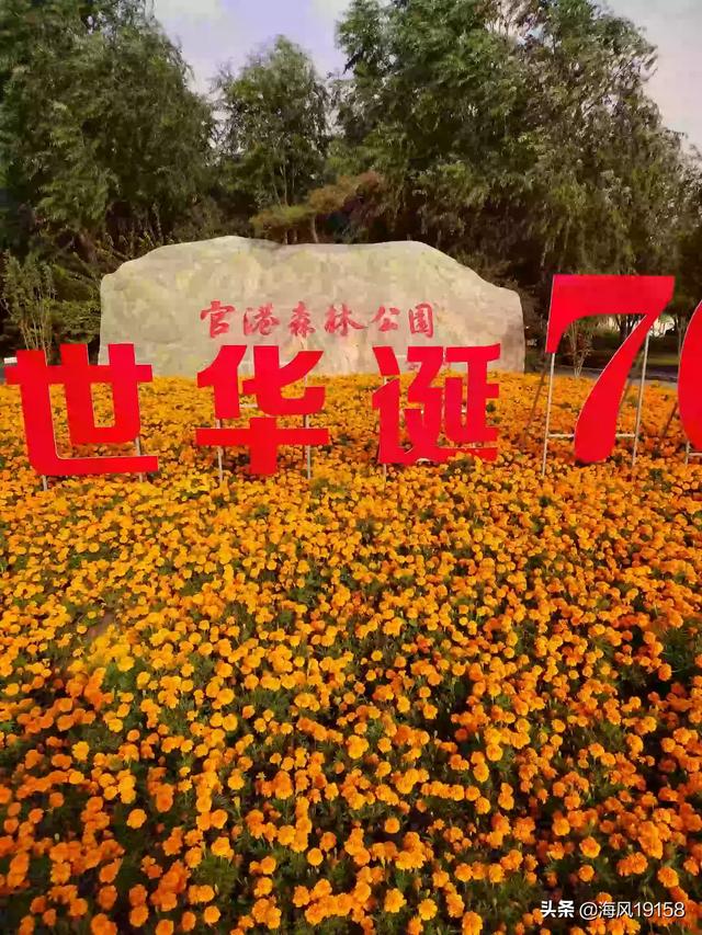 十一假期去哪玩？