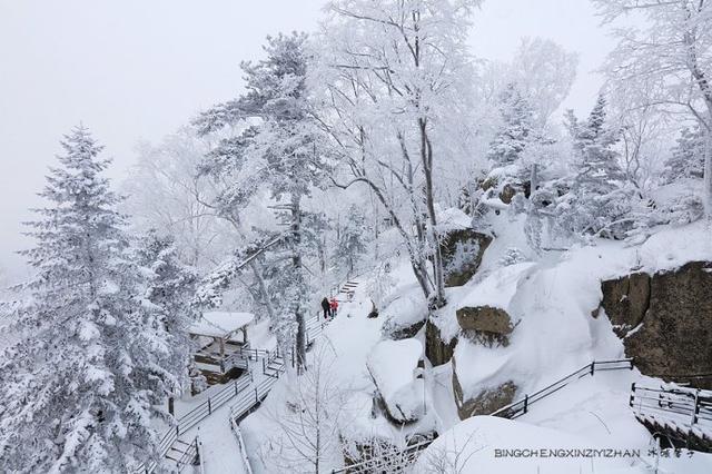 冬天去哈尔滨拍雪景，哪几个景点最佳？