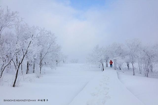 冬天去哈尔滨拍雪景，哪几个景点最佳？