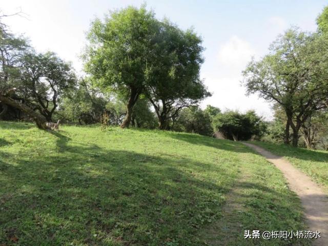 西安附近有什么避暑圣地？