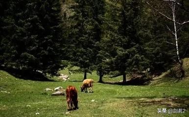 这个夏天去哪旅游好？既不热又清静，除了寺庙？