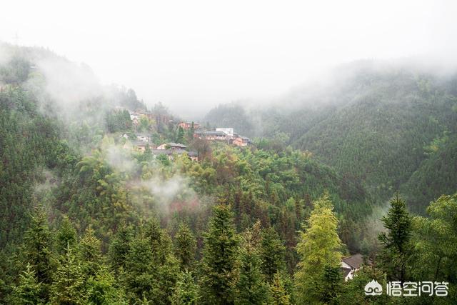 在深圳过年，在广东自驾游有什么好玩的地方吗？