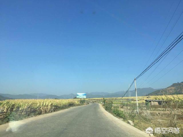 有全家去旅行过年吗？