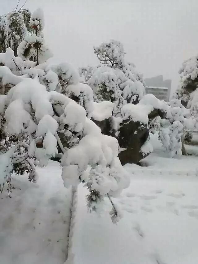 张家口哪里适合赏雪？