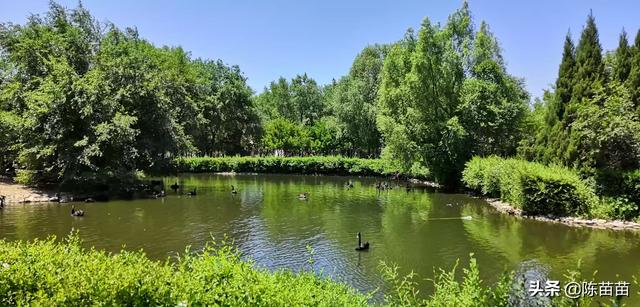 沈阳有哪些适合中秋节小长假免费旅游的地方？