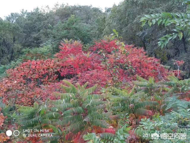 十月份去国内什么地方旅行最合适？