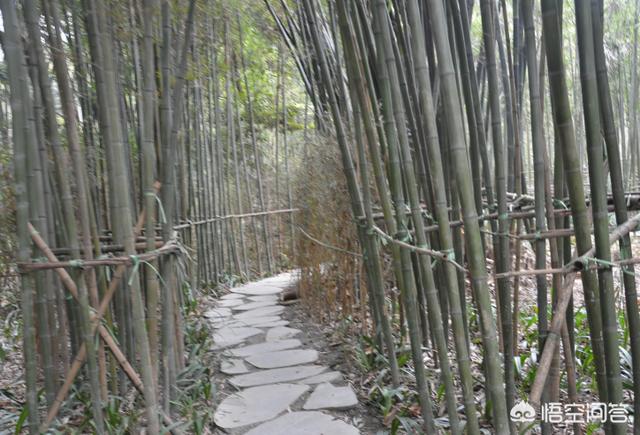成都周边一日游，有哪些地方值得一去？
