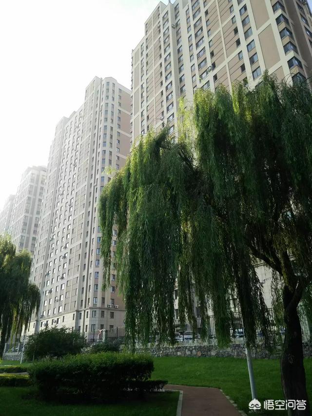 沈阳、大连、丹东、是辽宁最好的旅游三个城市吗？你怎么看？