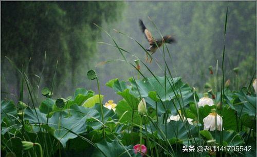 火热的夏天，也是旅游的旺季，你在旅游中，如何处理想看风景的心情与酷暑难忍的矛盾？