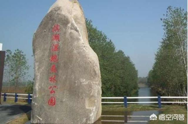 合肥有哪些公园比较不错？