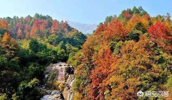 广东有哪些赏枫叶的地方？