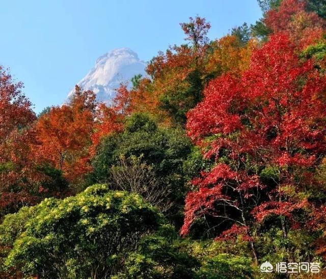 广东有哪些赏枫叶的地方？