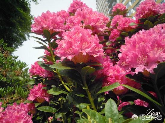 温哥华哪个季节最好？