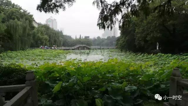 合肥哪里最有“合肥味儿”？