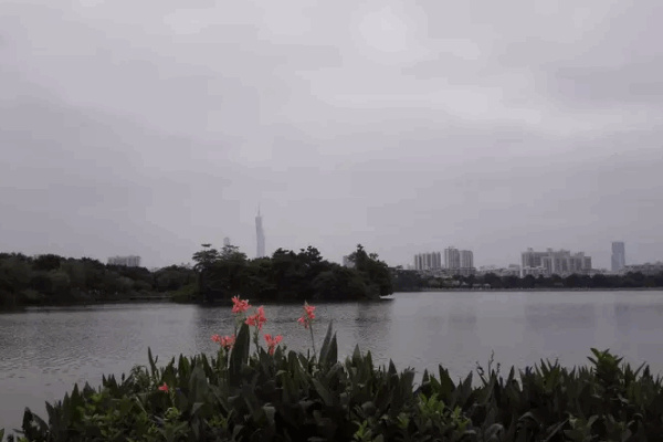 广东有哪些适合自驾游的地方？