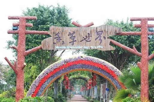 秋天带孩子去广州玩，哪些景点一定不能错过？