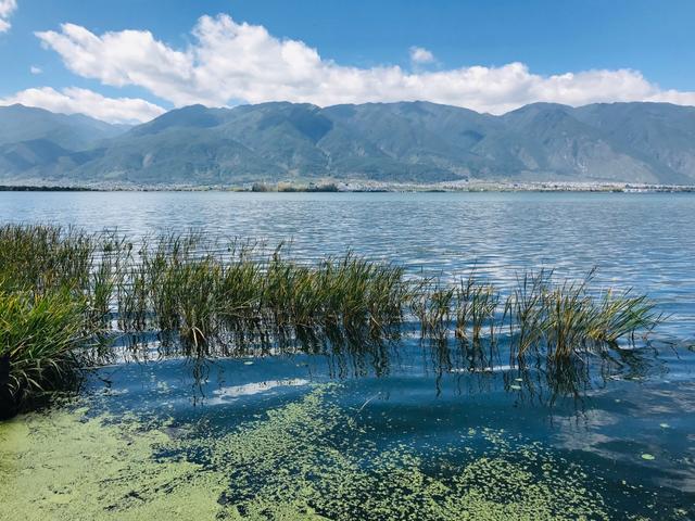 十一去哪旅游既便宜又好玩？