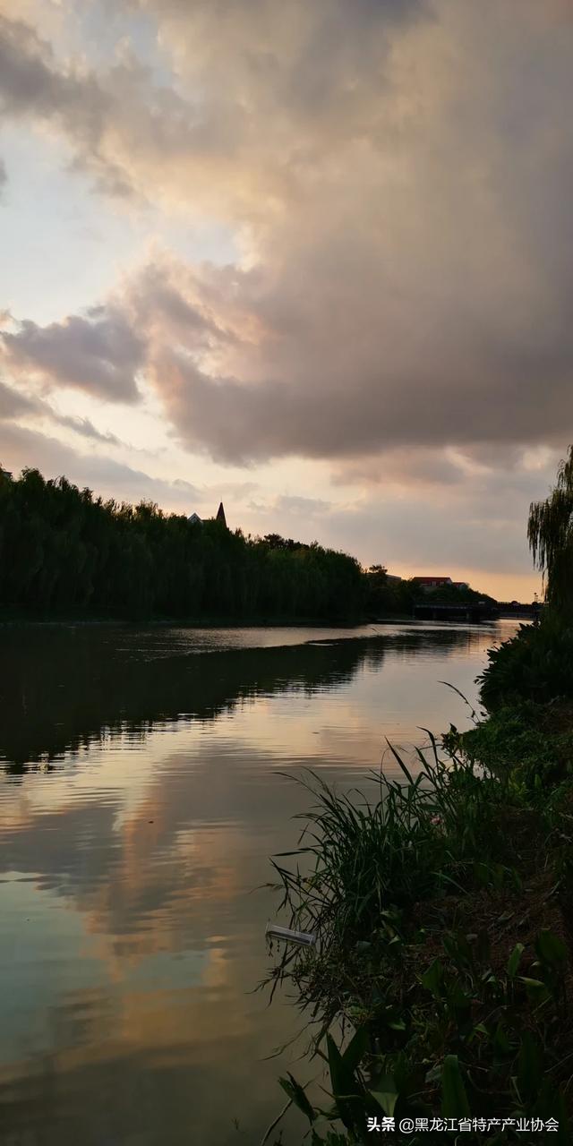 有人说北方好，有人说南方好，最适宜居住的地方是哪个地方？有衣食住行完美的地方吗？