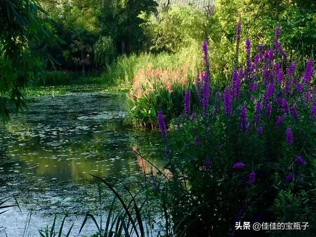 爽爽的贵阳，夏季旅游好地方，推荐一下贵阳周边有什么好玩景点？