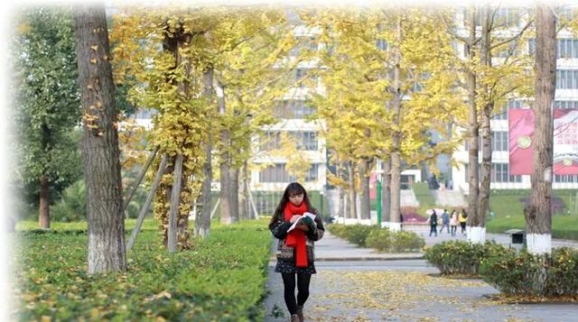 重庆大学城打卡推荐地有哪些，准备12月6号去看银杏？