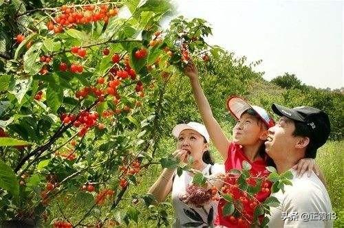 什么时候去大连旅游最好？