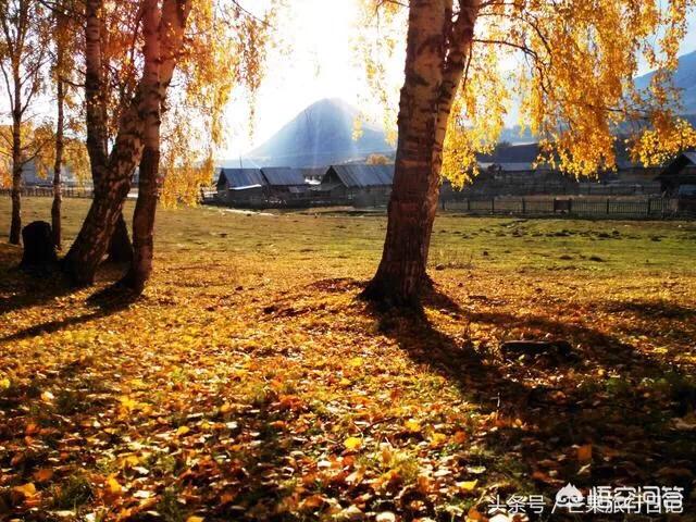 新疆有哪些旅游线路？