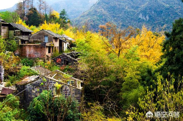 宁波周边有哪些比较安静清新的民宿古镇，适合短途旅游的？