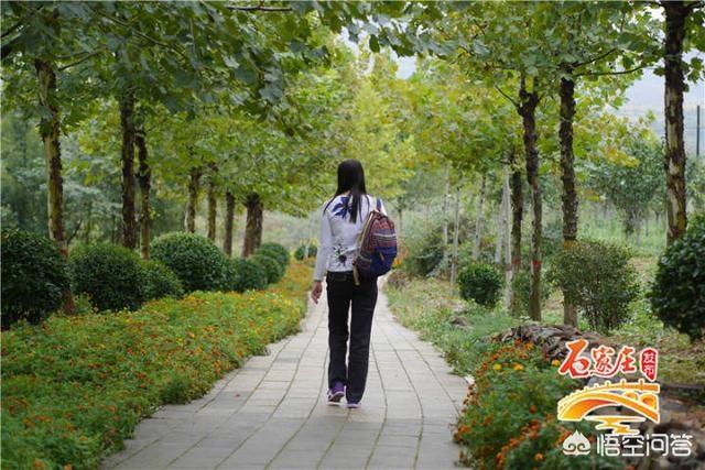 石家庄有哪些鲜为人知却很有意思的景点？