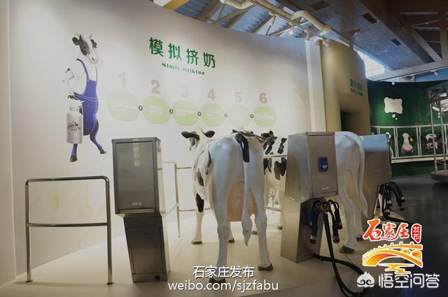 石家庄有哪些鲜为人知却很有意思的景点？