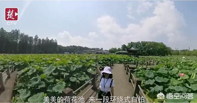 武汉秋天适合去东湖参观吗？