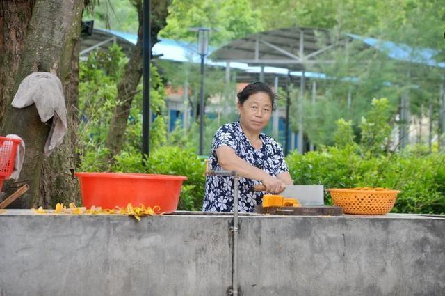 深圳自驾一天，怎么规划路线可以游完10大景点？