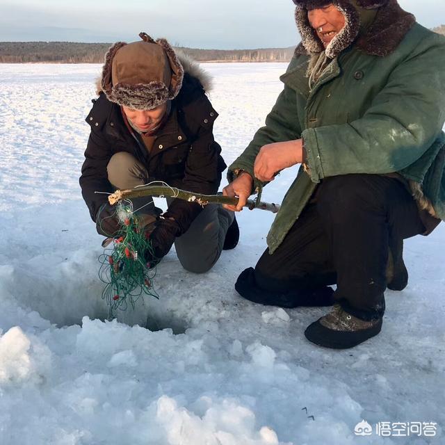 12月份去旅行，国内和国外分别去哪里最适合？