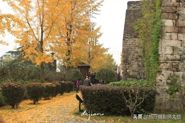 现在(12月初)去南京有什么景点可看？