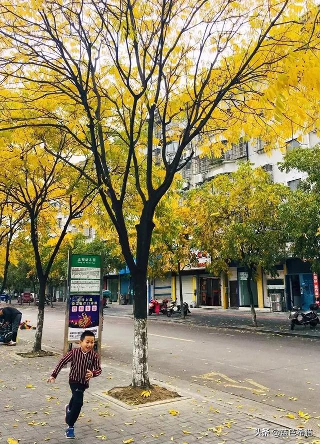 你是怎样拍秋天的？