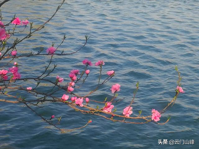 春，夏，秋，冬，四季，你更喜欢哪个季节拍照？