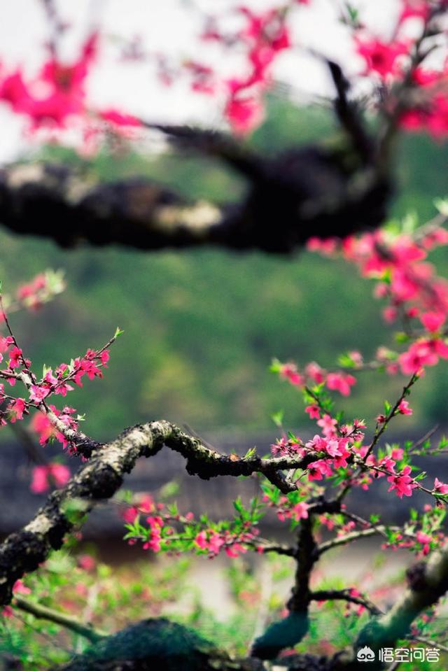 京津冀旅游去哪里比较好玩？如果是在3到5月份之间？