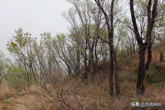 哪个季节去河南旅游最舒服？