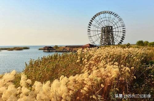秋天眼看就要到了，今年秋天你准备拍点啥？