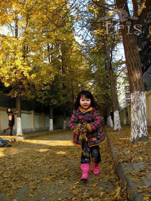 秋末初冬的11月适合去成都旅游吗？
