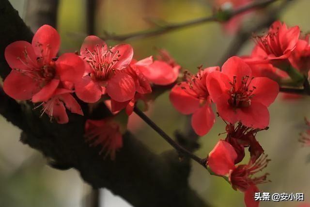 7月份是去成都游玩的最好时机吗？