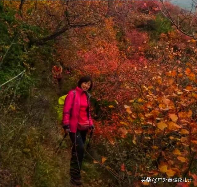 河北哪里有最美的红叶？