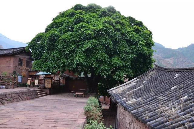秋冬季到云南旅游，有什么推荐的路线吗？