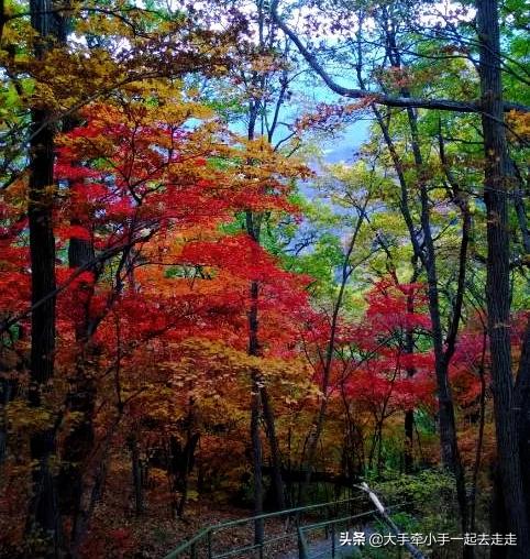 9月北京出发，4-5天的时间，想欣赏一下秋天童话般的美景，去哪里合适？