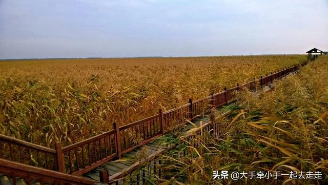 9月北京出发，4-5天的时间，想欣赏一下秋天童话般的美景，去哪里合适？