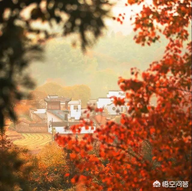 国内有哪些赏秋好去处？