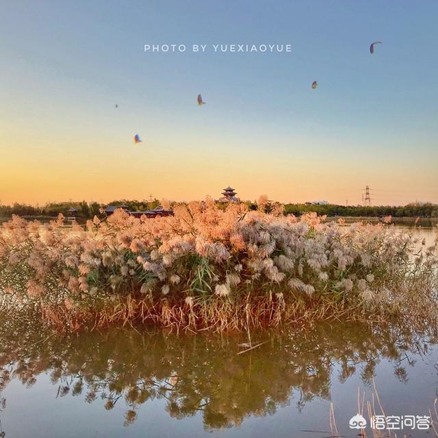 天津哪里可以观赏秋天美景？