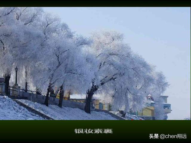 我冬天要去哈尔滨旅游，要穿什么才不会冷死？