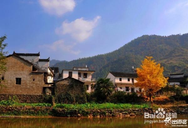 秋季去婺源旅游有什么好玩的