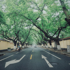 求国庆南京二日游攻略